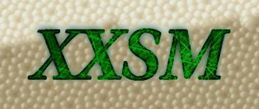 XXSM: X Scanning Microscopy --- X: any method, SPM: AFM,STM,...